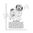 DecorBites™ Dog Breed Poster featuring Rhodesian Ridgeback, Havanese, and More