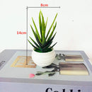 DecorBites™ Artificial Bonsai Tree Potted Plant for Home, Hotel & Garden Decor