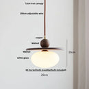 DecorBites™ Glass LED Pendant Lamp with Walnut Wood Brass Accent