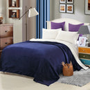 DecorBites™ Cozy Plush Blanket: Soft, Warm, Lightweight for Bedroom & Sofa All Seasons