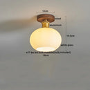 DecorBites™ LED Ceiling Light Modern Style Indoor Lighting Aluminum Glass Nordic Lamp