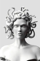 12style Choose Funny Art Sculpture Print Art Canvas Poster For Living Room Decor Home Wall Picture