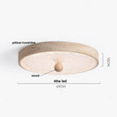 DecorBites™ LED Ceiling Light Fixture Yellow Stone White PE Shade Plafond Lamp