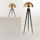 DecorBites™ Coyote Tripod Floor Lamp: Modern Stylish Standing Light for Home Decor