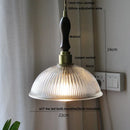 DecorBites™ LED Brass Pendant Lamp Modern Clear Glass Dining Light