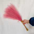 DecorBites™ Fluffy Pampas Grass Boho Decor Pampas Grass.