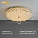 DecorBites™ Crystal Dimmable LED Ceiling Light for Modern Bedroom Decor