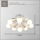 DecorBites™ Frost Glass Ceiling Chandelier for Home Indoor Lighting