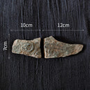 DecorBites™ Fossil Series Art Refrigerator Stickers: Fish Bone Beetle Marine Insect Specimen
