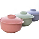 DecorBites™ Japanese Style Instant Noodle Rice Bowl with Lid - Healthy Tableware