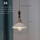 DecorBites™ Japanese Ceramic Pendant Light Scandinavian Style Luxury Lamp