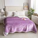 DecorBites™ Double-Layer Velvet Sofa Blanket: Luxuriously Warm & Skin-Friendly