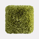 DecorBites™ Green Flower Car Sofa Cushion Pillowcase Home Decoration Square Pillow