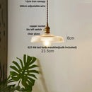 DecorBites™ Glass LED Pendant Light Chandelier for Modern Home Decor