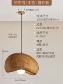 DecorBites™ Japanese Resin Pendant Lights for Dining Room Home Decor - Creative Luminaire Suspendu