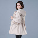 Women Winter Puffer Coat – Warm Cotton Hooded Casual Parka