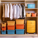 DecorBites™ Large Capacity Storage Box for Cosmetics, Toys, Snacks, Clothes Organizer