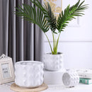 DecorBites™ Gold Ceramic Flower Pot Geometry Vase for Succulents and Floral Arrangements