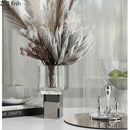 DecorBites™ Crystal Clear Glass Vase for Potted Plants and Floral Arrangements