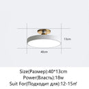 DecorBites™ LED Ceiling Lamp for Living Room Study Child Bedroom Indoor Lighting