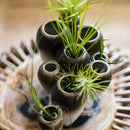 DecorBites™ Abstract Tooth Ceramic Flower Pot Hanging Vase for Artistic Home Decor