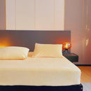 DecorBites™ Cozy Flannel Queen Bed Sheet | Soft Fitted Coral Fleece Mattress Cover | Plush Winter Bedsheet
