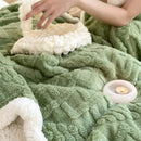 DecorBites™ Coral Fleece Blanket: MultiFunctional Soft Skin-Friendly Warm Shawl