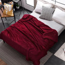 DecorBites™ Cozy Plush Blanket: Soft, Warm, Lightweight for Bedroom & Sofa All Seasons