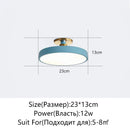 DecorBites™ LED Ceiling Lamp for Living Room Study Child Bedroom Indoor Lighting