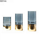 DecorBites™ Gold Glass Vase Clear Desk Decor Hydroponic Floral Arrangement Bud Flower Pot