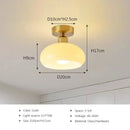 DecorBites™ Gold LED Ceiling Light for Home Hotel Bedroom Living Room - Modern Lighting Fixture