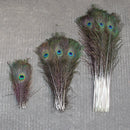 10/20/50PCS Natural Big Eyes Peacock Feathers 25-65CM for Wedding Home Table Center Vase Decoration Accessories Crafts Plume