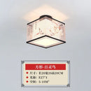 DecorBites™ Lotus Chinese Chandelier Ceiling Lamp Simple Corridor Painting LED Lighting