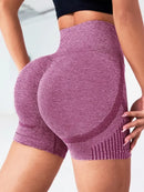Women Yoga Leggings – High Waist Seamless Quick-Dry Sports Shorts