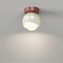 DecorBites™ Glass Iron LED Ceiling Lamp Light Fixtures Modern Home Decoration