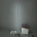 DecorBites™ Gold LED Floor Lamp Minimalist Modern Design for Living Room & Bedroom