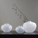 DecorBites™ Glass Pleats Vase for Hydroponics and Flower Arrangement
