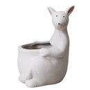 DecorBites™ Kangaroo Cartoon Ceramic Flower Pot Vase for Cactus Succulents and Plants