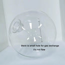 DecorBites™ Clear Glass Pendant Lamp Shade with 2.2cm Thread for Chandeliers & Hanging Lights