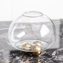 DecorBites™ Geometric Golden Ball Glass Vase for Floral Arrangements and Home Decor