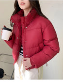 Women Winter Cropped Jacket – Warm Cotton-Padded Puffer Coat