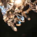 DecorBites™ Crystal Glass LED Pendant Lights for Modern Spaces
