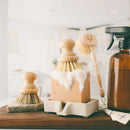 Solid Dish Soap | Citrus