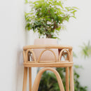 Sage Wicker Plant Stand