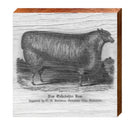 Sheep Sign | Wall Art Print on Real Wood