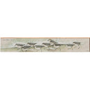 Anna Maria Island Artist Jon Van Zyle's Piping Plover | Wall Art Print on Real Wood