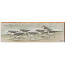 Anna Maria Island Artist Jon Van Zyle's Piping Plover | Wall Art Print on Real Wood