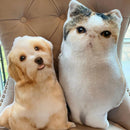 Personalized 3D Cutout Photo Pillow  | Turn Any Picture Into a Pillow