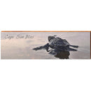 Cape San Blas Baby Sea Turtle | Wall Art Print on Real Wood