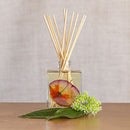 Accent Botanical Reed Diffuser - Sugared Citrus